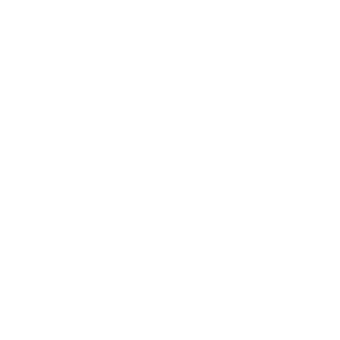 Technology-Without-Borders-Logo