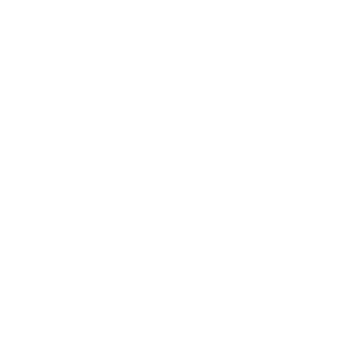 Technology-Without-Borders-Logo