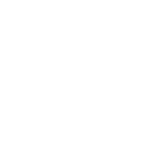 MVP-Icon